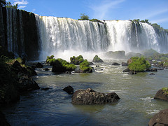 Flowing Purely por nunavut